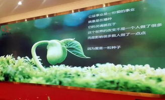 以刀為筆，以玉載道 福建省寶協(xié)玉石雕刻專業(yè)委員會(huì)藝術(shù)公益之路